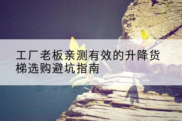 札达升降货梯怎么选-工厂老板亲测有效的升降货梯选购避坑指南
