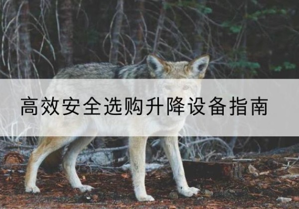 札达升降货梯厂家推荐-*安全选购升降设备指南