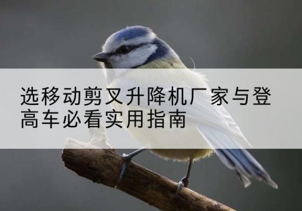 札达电动升降机厂家-选移动剪叉升降机厂家与登高车必看实用指南