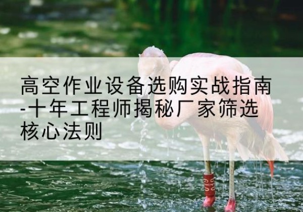 札达剪叉式升降机厂家-高空作业设备选购实战指南-十年工程师揭秘厂家筛选核心法则