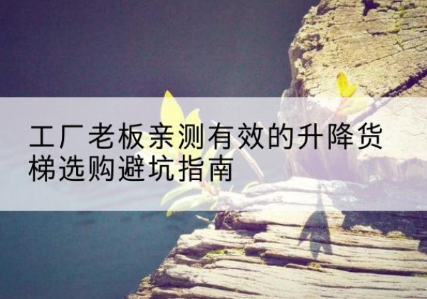 札达升降货梯怎么选-工厂老板亲测有效的升降货梯选购避坑指南